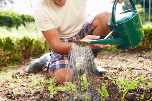 A person kneeling in a garden bed, watering young green plants with a green watering can. The garden features a cultivated soil area with small seedlings and plants in various growth stages. In the background, there is a neatly maintained lawn with lush, dense grass, bordered by a low hedge or shrubbery and a few small trees, suggesting a landscaped outdoor space typical of residential gardens in Barking. The scene is lit by natural daylight, indicating a bright, clear day, and the environment reflects attentive gardening practices. This image is relevant to gardening services such as planting, lawn care, and outdoor maintenance provided by companies like Landscapers Barking.