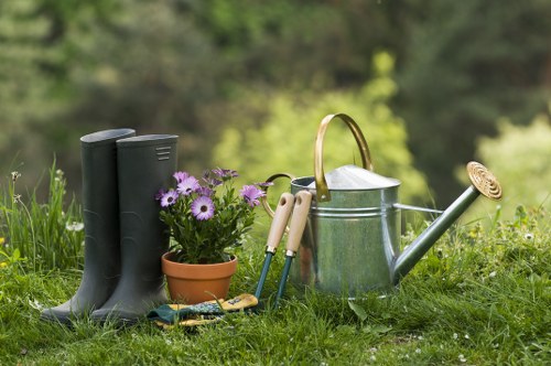 Professionally maintained lawn and plants