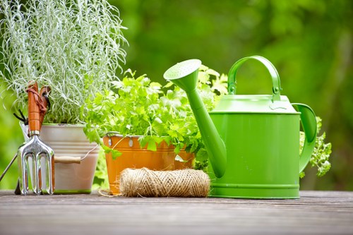 A close-up view of a garden outdoor space featuring a weathered wooden table with various gardening tools and plants. On the left, a small metal hand rake rests against a white pot containing a tall, silvery-green herb, possibly rosemary or sage. Next to it, a terracotta pot holds a lush, vibrant green herb, potentially cilantro or parsley, with healthy, leafy growth. In front of these pots, a coiled beige garden twine lies on the table. To the right, a bright green plastic watering can with a spout and handle is positioned prominently, indicating active gardening. The background reveals a blurred natural setting with dense greenery, suggesting a well-maintained garden or backyard, typical of properties in Barking, Essex. The scene is illuminated by natural daylight, emphasizing the fresh, healthy appearance of the plants and tools, and reflecting the outdoor gardening activities typical of a modern landscaped garden maintained by professionals such as Landscapers Barking.