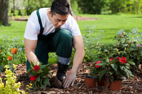 A gardener wearing a white t-shirt and dark green overalls is kneeling on a mulch bed in a well-maintained garden, planting or tending to vibrant red and green poinsettia plants in small terracotta pots. The garden features a lush, expansive lawn with rich green grass, bordered by a variety of flowering plants and shrubs. In the background, mature trees and a hedge line create a natural enclosure, providing privacy and shade. The scene is illuminated by natural daylight on a clear day, highlighting the healthy foliage and bright colours of the plants. The gardener’s focused posture and the arrangement of potted plants suggest professional gardening or landscaping services, emphasizing attention to detail in outdoor space management and plant care, typical of services offered by landscaping professionals like Landscapers Barking in the Barking area.