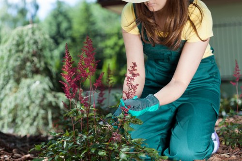 A person wearing a yellow shirt, teal gardening overalls, and grey gloves is kneeling in a garden, actively tending to a flower bed. The garden features a variety of plants, including tall pink-purple flowering plants in the foreground, alongside dense green foliage and shrubs. The background reveals a garden shed or building with light-colored walls and a pitched roof, partially obscured by trees and bushes, indicating a well-maintained outdoor space typical of residential gardens in Barking. The scene is lit by natural daylight, suggesting clear weather, and the person appears focused on careful pruning or planting work, emphasizing professional gardening maintenance that Landscapers Barking offers for local outdoor environments. The overall setting combines lush greenery, flowering plants, and tidy borders, reflecting a professionally landscaped yard suitable for enhanced outdoor enjoyment and garden care services in the London borough.