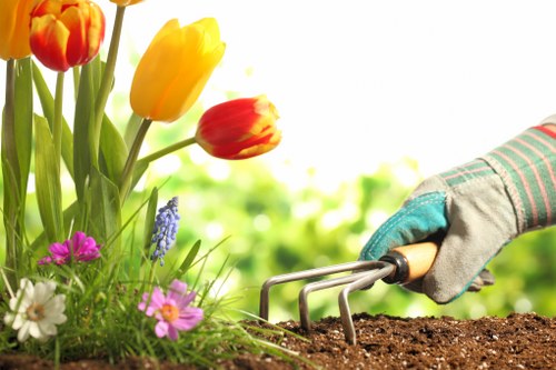 A close-up view of a garden bed featuring a variety of colorful flowering plants, including red, yellow, and orange tulips, along with smaller pink, white, and purple flowers growing amidst green foliage. The plants are thriving in well-maintained soil, which is being gently raked by a gardener wearing a glove, with a small hand rake tool. The background shows a softly blurred outdoor environment, indicating a bright, sunny day with natural light illuminating the garden area. The scene captures elements typical of a well-kept front or backyard garden in Barking, emphasizing healthy plant growth, vibrant colours, and clean soil preparation, aligning with professional gardening services offered by Landscapers Barking to maintain or enhance such outdoor spaces.