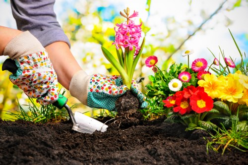 Seasonal lawn maintenance activities in Barking