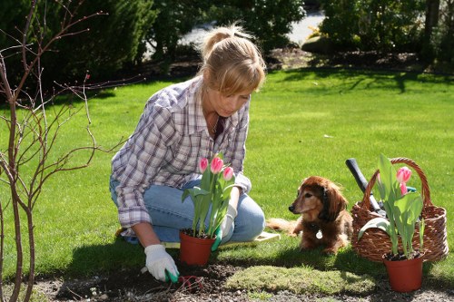 Nighttime garden lighting enhancing a Barking landscape garden