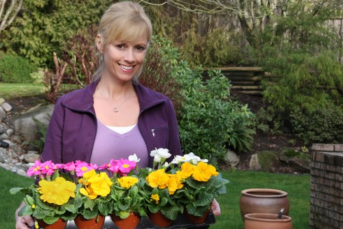 A woman with blonde hair and a cheerful expression is standing in a well-maintained garden, holding a black tray with five vibrant flowering pots, including yellow, white, and pink blossoms. She is dressed in a purple jacket over a white top, engaging in gardening activities. The garden features a lush green lawn, a neatly trimmed hedge, various shrubs, and a backdrop of trees with fresh spring foliage. To her right, there are two empty terracotta plant pots placed on the grass, and a stone path is visible leading toward a set of wooden steps ascending into the garden. The scene captures a bright, sunny day with soft natural light illuminating the garden’s natural tones, showcasing the outdoor environment's well-kept landscaping, ideal for gardening and outdoor maintenance services in Barking.