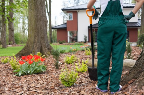 A gardener in green overalls stands outdoors in a landscaped garden, holding a spade while tending to a mulched flower bed surrounded by young shrubs and vibrant red tulips. The garden features a large mature tree with textured bark in the foreground, its roots partially visible above the mulch. In the background, a modern two-storey house with a dark roof and light brick facade is partially visible through leafless trees, indicating early spring or late autumn. The lawn area adjacent to the flower bed is lush, dense, and well-maintained, with a clear distinction between the grass and mulched areas. The scene captures a bright, overcast day, typical of a temperate climate, and exemplifies professional garden design and maintenance practices that a landscaping service like Landscapers Barking offers, combining natural elements with structured planting arrangements in a residential outdoor space near Barking.