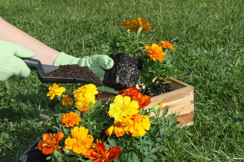 A gardener wearing light green gloves is planting a flowering plant with vibrant orange and yellow blooms into a rectangular wooden planter box positioned on a grassy lawn. The planter contains dark soil, and the gardener is using a small trowel to transfer soil around the base of the plant. In the background, the lawn extends with well-maintained green grass, and there are trees or shrubs out of focus, suggesting an outdoor garden space. The scene depicts a neat and organized garden environment, suitable for landscaping or planting services offered by Landscapers Barking in the Barking area, with natural lighting indicating a clear day.